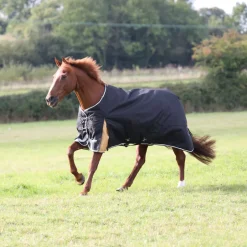 Shires Equestrian Highlander Plus 200 Turnout Rug
