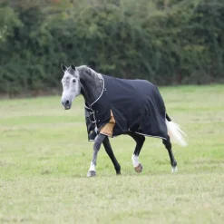 Shires Equestrian Highlander Plus 200 Turnout Rug