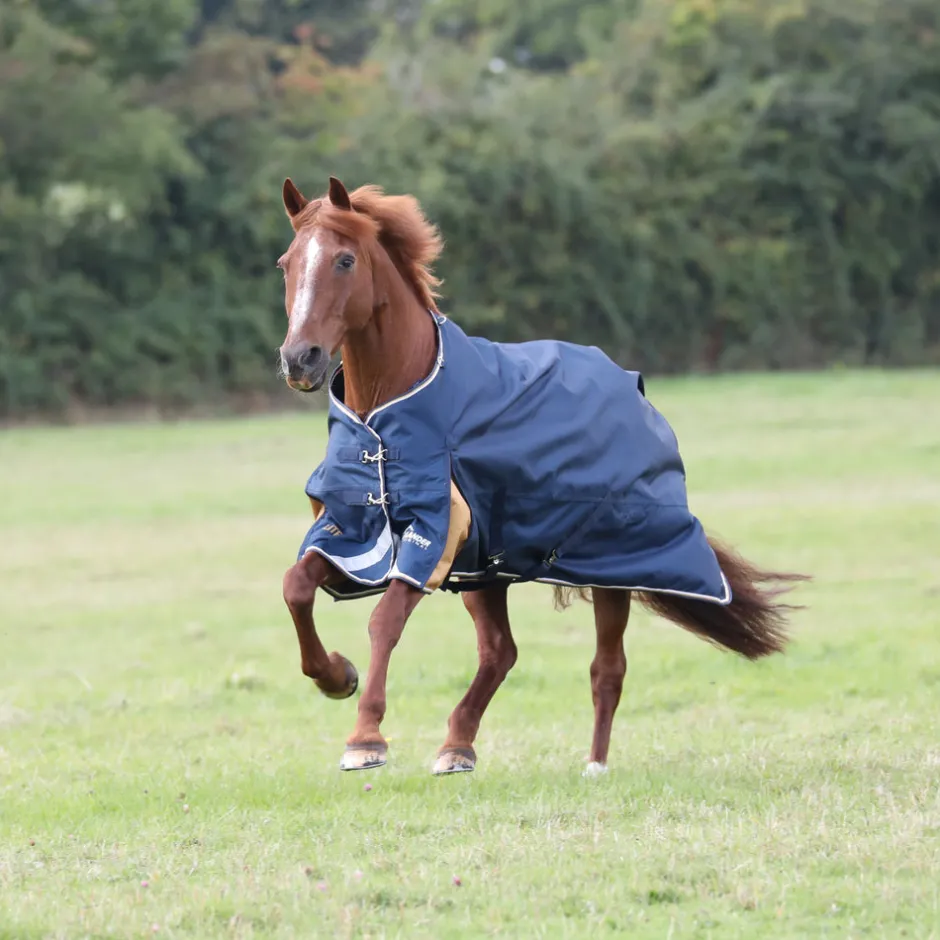 Shires Equestrian Highlander Plus Lite Turnout Rug
