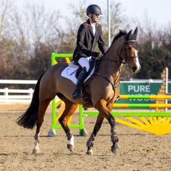 Shires Equestrian Karben Avena Original Riding Hat