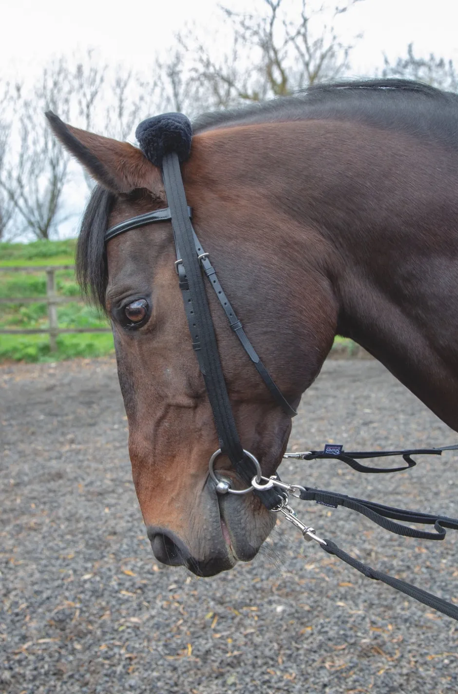 Shires Equestrian Lunging Adapter