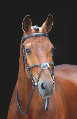 Shires Equestrian Salisbury Brackley Bridle