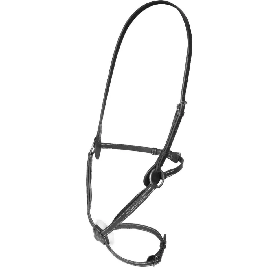 Shires Equestrian Salisbury Brackley Noseband