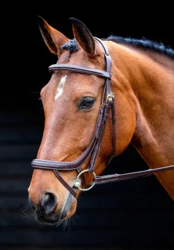 Shires Equestrian Salisbury Buckingham Bridle