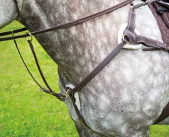 Shires Equestrian Salisbury Five Point Breastplate