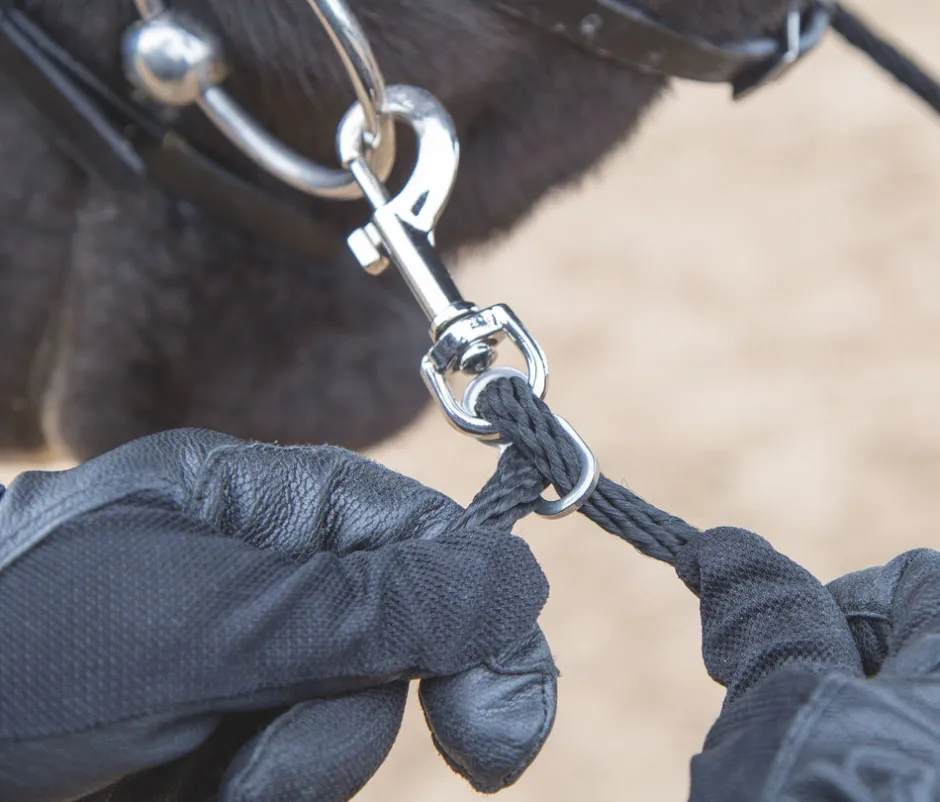 Shires Equestrian Soft Lunging Aid