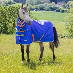 Shires Equestrian Tempest Original 50 Combo Turnout Rug
