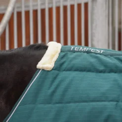 Shires Equestrian Tempest Original 200 Stable Rug