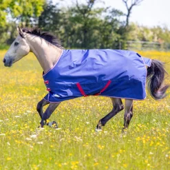 Shires Equestrian Tempest Original 100 Turnout Rug & Neck