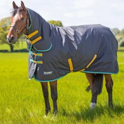 Shires Equestrian Tempest Original 300 Turnout Combo Rug
