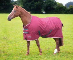 Shires Equestrian Tempest Original 200 Turnout Rug