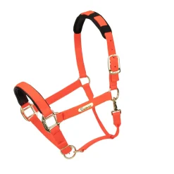 Shires Equestrian Topaz Nylon Headcollar