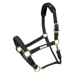 Shires Equestrian Topaz Nylon Headcollar