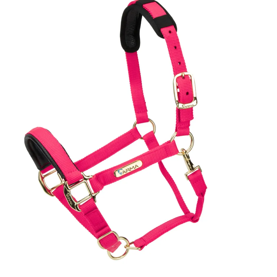 Shires Equestrian Topaz Nylon Headcollar