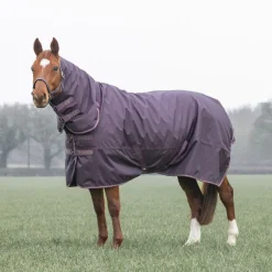 Shires Equestrian Typhoon 100 Combo Turnout Rug
