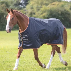Shires Equestrian Typhoon 200 Turnout Rug