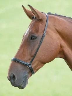 Shires Equestrian Velociti GARA Drop Noseband