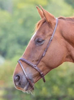 Shires Equestrian Velociti GARA Flash Noseband