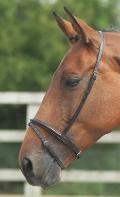 Shires Equestrian Velociti GARA Flash Noseband