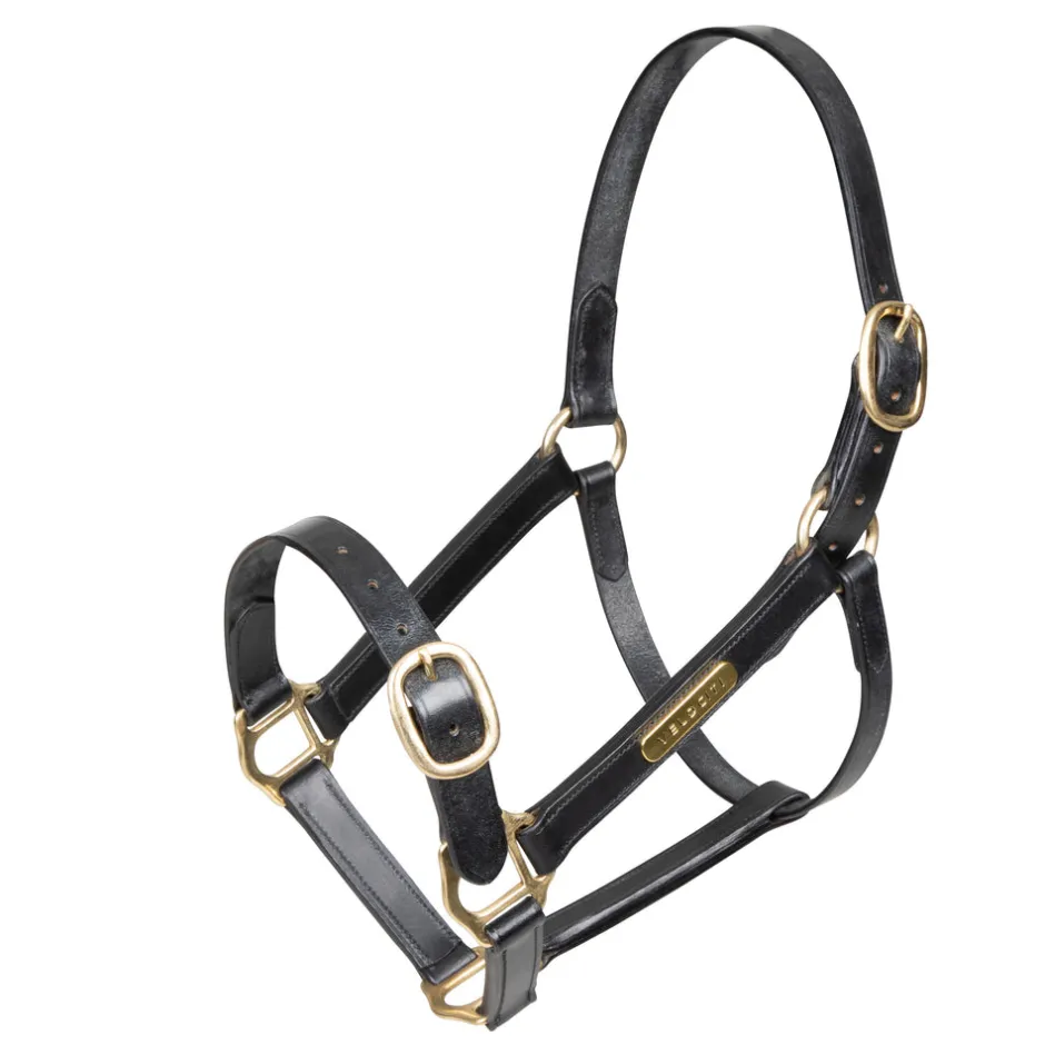 Shires Equestrian Velociti GARA Fully Adjustable Leather Headcollar