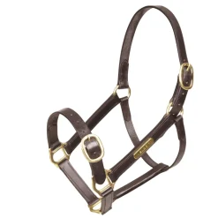 Shires Equestrian Velociti GARA Fully Adjustable Leather Headcollar