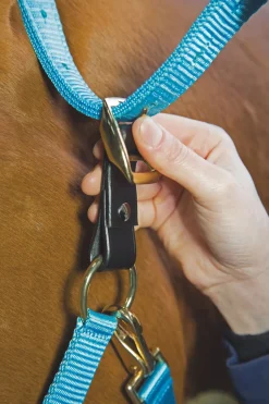 Shires Equestrian Velociti GARA Headcollar Breakaway Attachment