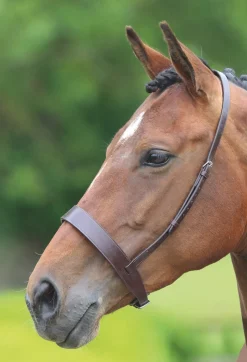Shires Equestrian Velociti GARA Hunter Cavesson Noseband