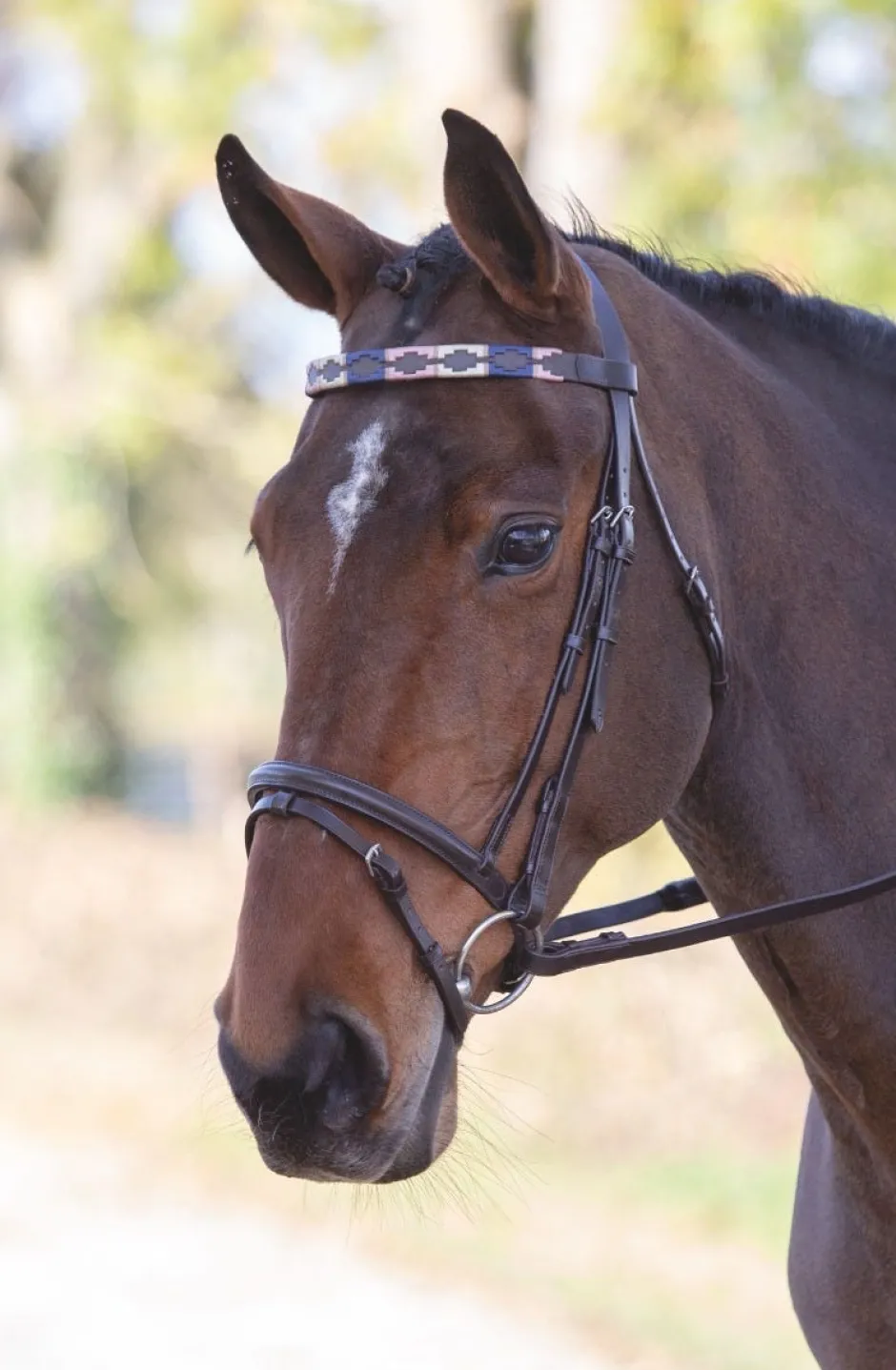 Shires Equestrian Velociti GARA Leather Polo Browband