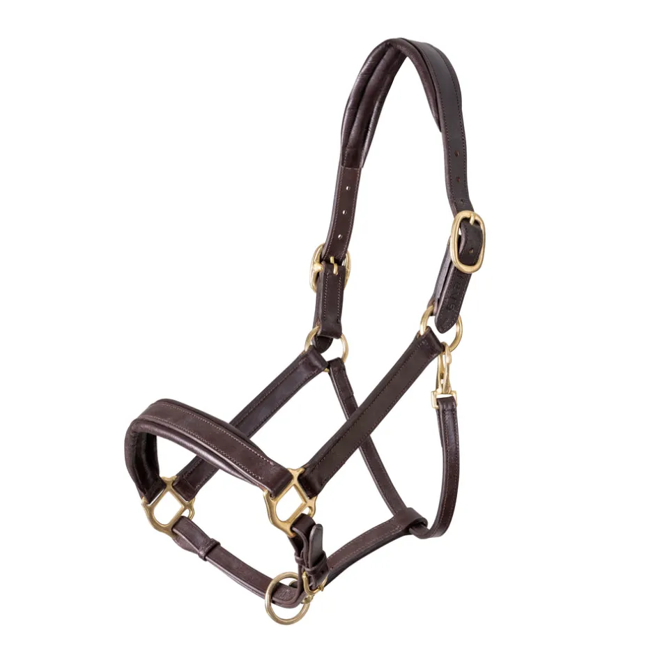 Shires Equestrian Velociti GARA Leather Travel Headcollar