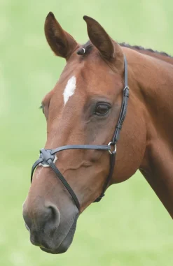 Shires Equestrian Velociti GARA Mexican Noseband