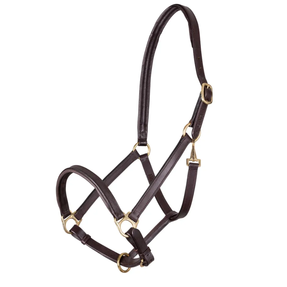 Shires Equestrian Velociti GARA Ragley Lined Leather Headcollar
