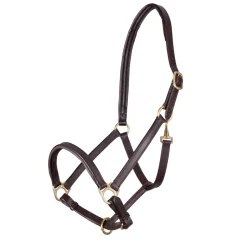Shires Equestrian Velociti GARA Ragley Lined Leather Headcollar