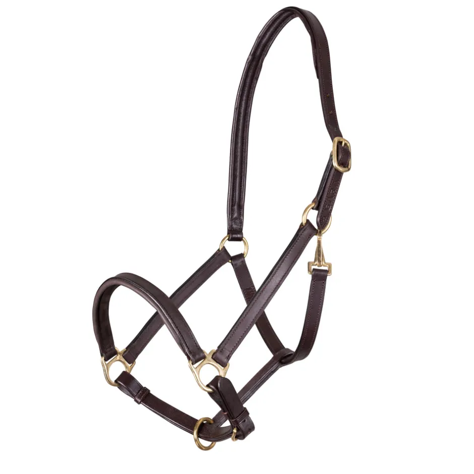 Shires Equestrian Velociti GARA Ragley Lined Leather Headcollar