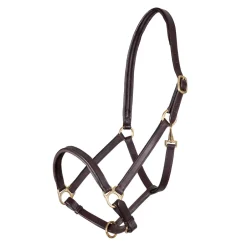 Shires Equestrian Velociti GARA Ragley Lined Leather Headcollar