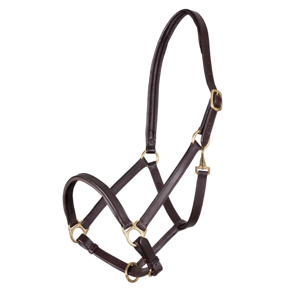 Shires Equestrian Velociti GARA Ragley Lined Leather Headcollar