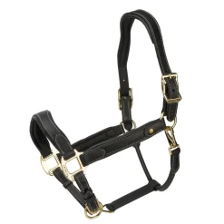 Shires Equestrian Velociti Lusso Lorca Leather Headcollar
