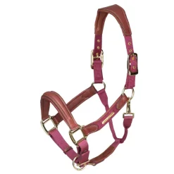 Shires Equestrian Velociti Lusso Padded Leather Headcollar