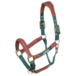 Shires Equestrian Velociti Lusso Padded Leather Headcollar