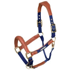 Shires Equestrian Velociti Lusso Padded Leather Headcollar