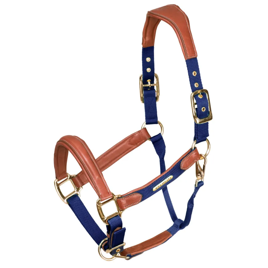 Shires Equestrian Velociti Lusso Padded Leather Headcollar