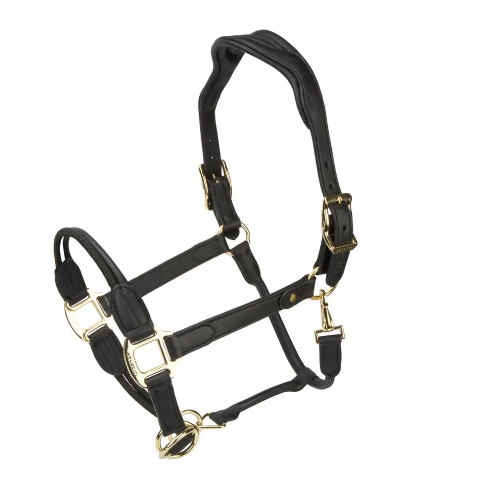 Shires Equestrian Velociti Lusso Soria Control Leather Headcollar