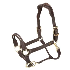 Shires Equestrian Velociti Lusso Soria Control Leather Headcollar