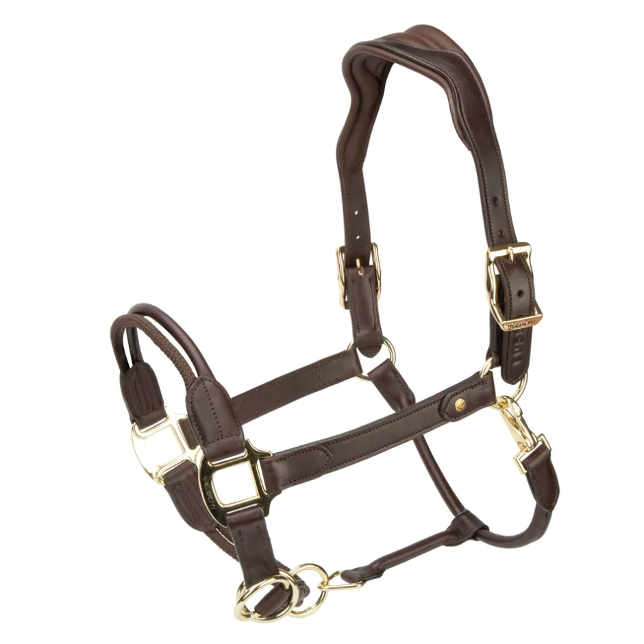 Shires Equestrian Velociti Lusso Soria Control Leather Headcollar