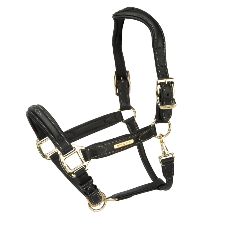 Shires Equestrian Velociti RAPIDA Comfort Leather Headcollar