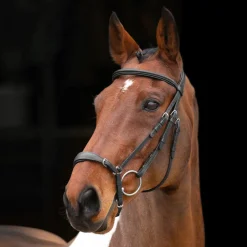 Shires Equestrian Velociti RAPIDA Drop Noseband Bridle