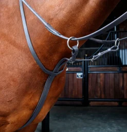 Shires Equestrian Velociti RAPIDA Running Martingale
