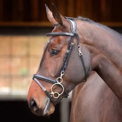 Shires Equestrian Velociti RAPIDA Training Bridle