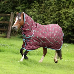 Shires Equestrian Winnie & Me 200 Turnout Rug